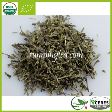 Folhas de chá verde Sencha orgânico